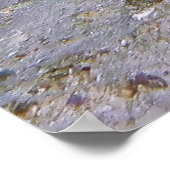 Blue Spotted Stingray Poster (Hoek)