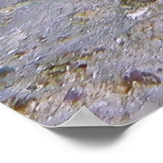 Blue Spotted Stingray Poster (Hoek)