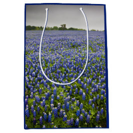 Blue Spring Bluebonnet Field Texas State Flower Medium Cadeauzakje