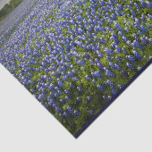 Blue Spring Bluebonnet Field Texas State Flower Tissuepapier (Detail)