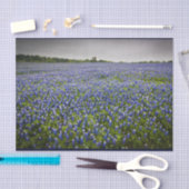 Blue Spring Bluebonnet Field Texas State Flower Tissuepapier (Craft)