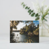 Blue Springs State Park, Florida Briefkaart (Staand voorkant)