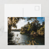 Blue Springs State Park, Florida Briefkaart (Voorkant / Achterkant)