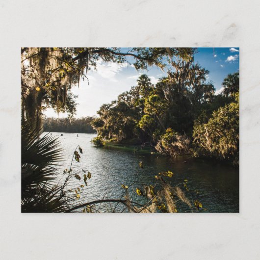 Blue Springs State Park, Florida Briefkaart (Voorkant)