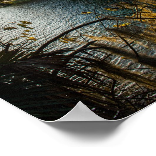 Blue Springs State Park, Florida Poster (Hoek)