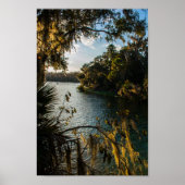 Blue Springs State Park, Florida Poster (Voorkant)