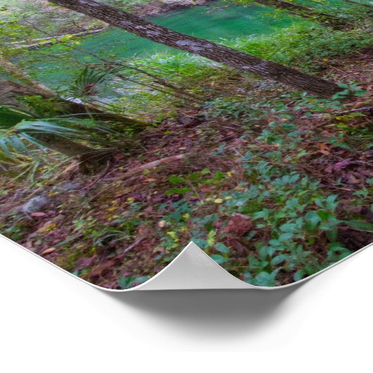 Blue Springs State Park, Florida Poster (Hoek)