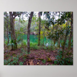 Blue Springs State Park, Florida Poster