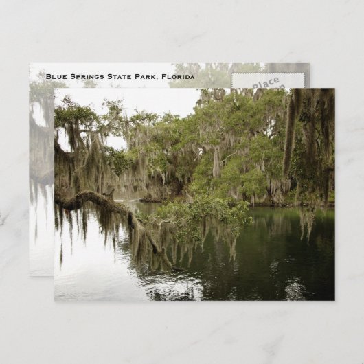 Blue Springs State Park Photo Briefkaart (Voorkant / Achterkant)