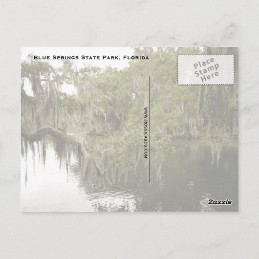 Blue Springs State Park Photo Briefkaart (Achterkant)