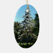 Blue Spruce Ornament (Rechts)