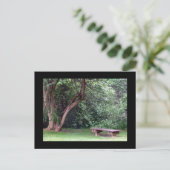 Blue Spruce Park #3 Briefkaart (Staand voorkant)