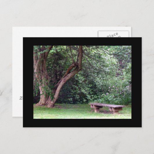 Blue Spruce Park #3 Briefkaart (Voorkant / Achterkant)