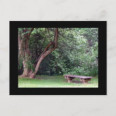 Blue Spruce Park #3 Briefkaart (Voorkant)