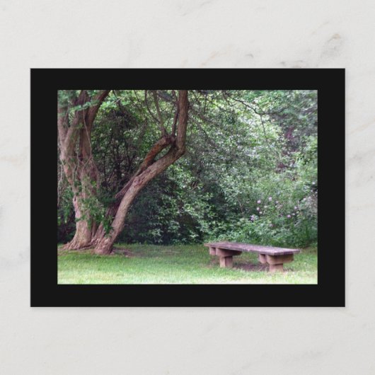 Blue Spruce Park #3 Briefkaart (Voorkant)