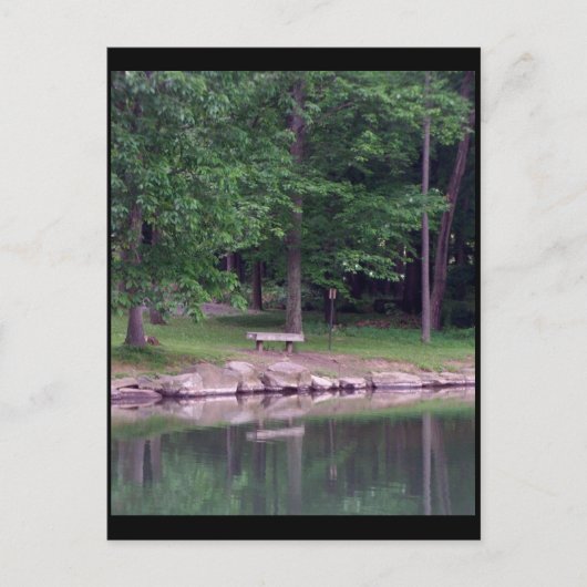 Blue Spruce Park #4 Briefkaart (Voorkant)