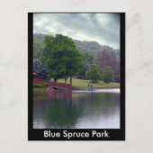 Blue Spruce Park Briefkaart (Voorkant)