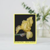 Blue Spruce     ParkIndiana County PA Briefkaart (Staand voorkant)
