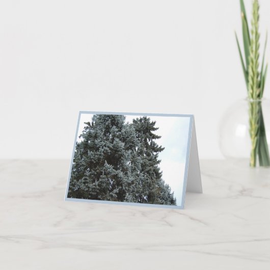 Blue Spruce Trees Holiday Note Kaart (Voorkant)