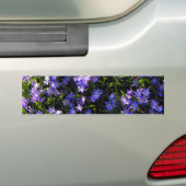 Blue Squill Spring Flowers Bumpersticker (Op auto)