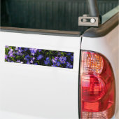 Blue Squill Spring Flowers Bumpersticker (Op Truck)