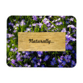 Blue Squill Spring Flowers Magneet (Horizontaal)