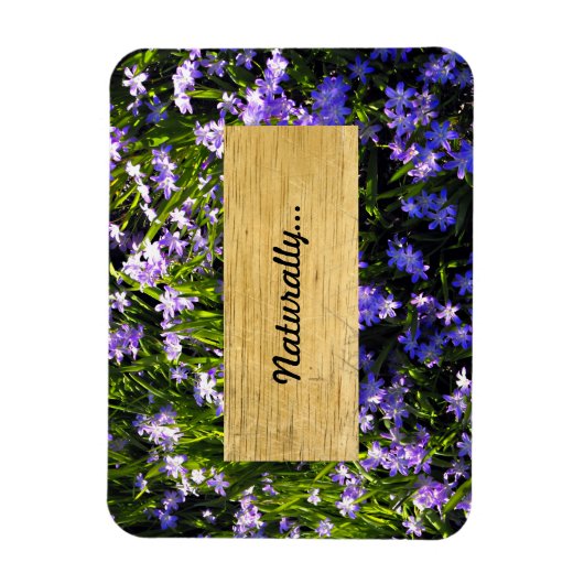 Blue Squill Spring Flowers Magneet (Verticaal)