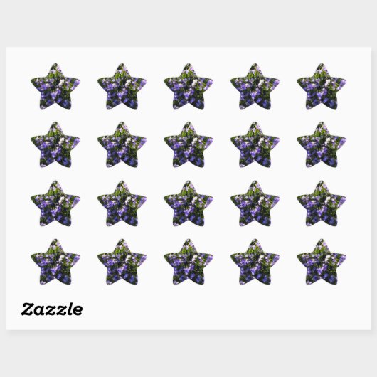 Blue Squill Spring Flowers Ster Sticker (Vel)