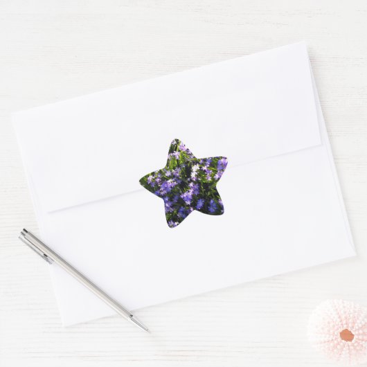 Blue Squill Spring Flowers Ster Sticker (Envelop)