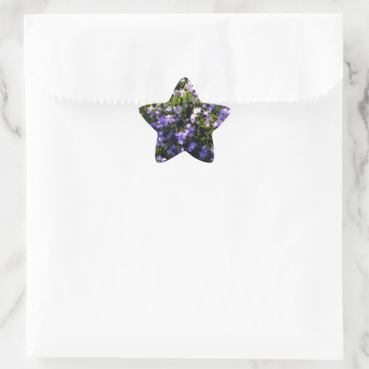 Blue Squill Spring Flowers Ster Sticker (Tas)