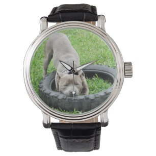 Blue Staffordshire Bull Terrier Play Time Horloge