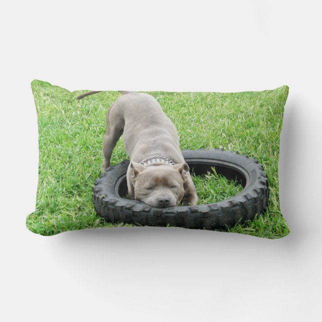 Blue Staffordshire Bull Terrier Play Time. Kussen (Voorkant)