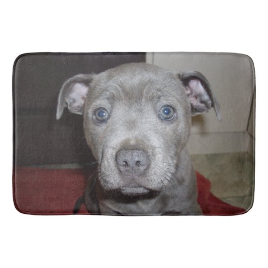 Blue Staffordshire Bull Terrier Puppy, Bathmat Badmat (Voorkant)