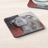 Blue Staffordshire Bull Terrier Puppy, Bier Onderzetter (Linkerzijde)
