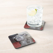 Blue Staffordshire Bull Terrier Puppy, Bier Onderzetter (Rechterzijde)