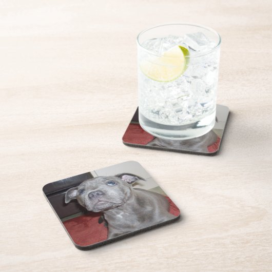 Blue Staffordshire Bull Terrier Puppy, Bier Onderzetter (Rechterzijde)