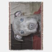 Blue Staffordshire Bull Terrier Puppy, Deken (Voorkant Verticaal)