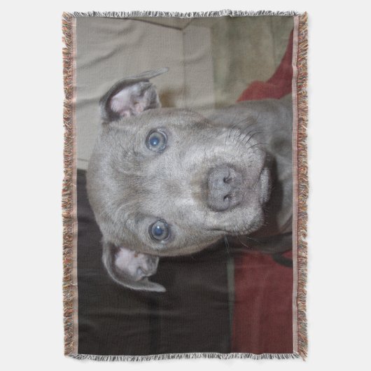 Blue Staffordshire Bull Terrier Puppy, Deken (Voorkant Verticaal)