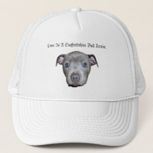 Blue Staffordshire Bull Terrier Puppy Face Love Trucker Pet