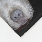 Blue Staffordshire Bull Terrier Puppy Face, zwart Fleece Deken (Hoek)