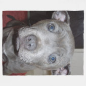 Blue Staffordshire Bull Terrier Puppy, Fleece Deken (Voorkant (Horizontaal))