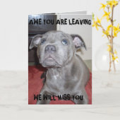 Blue Staffordshire Bull Terrier Puppy, Kaart (Gele Bloem)