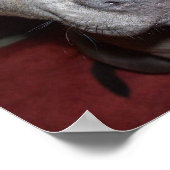 Blue Staffordshire Bull Terrier Puppy, Poster (Hoek)