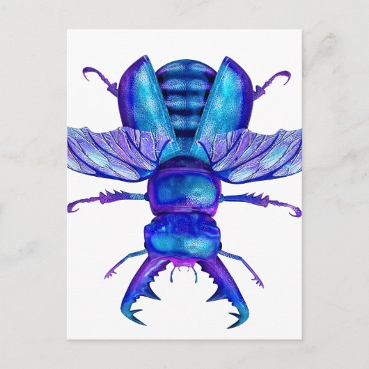 Blue Stag Beetle Briefkaart (Voorkant)