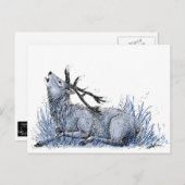 Blue Stag Briefkaart (Voorkant / Achterkant)