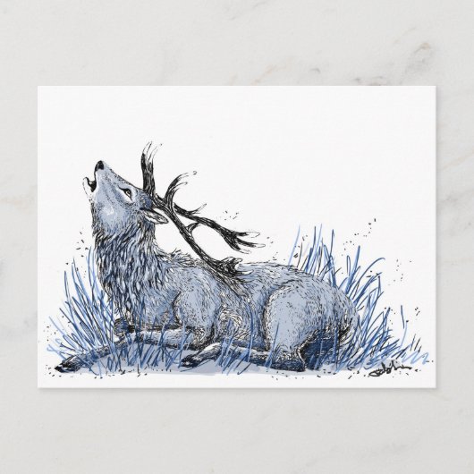 Blue Stag Briefkaart (Voorkant)