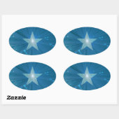 Blue Star sticker oval (Vel)