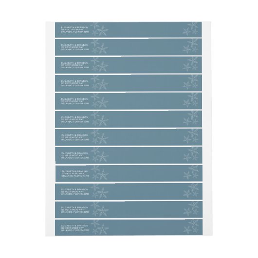 Blue Starfish Florida Beach Wedding (Vel)