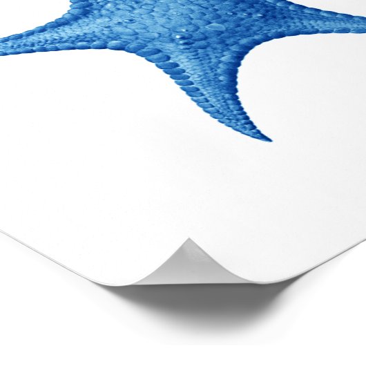 Blue Starfish no.3 strandwandbekleding Poster (Hoek)