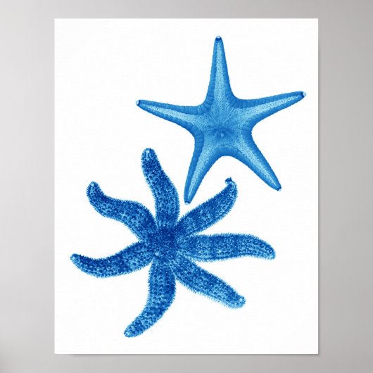 Blue Starfish no. 5 strandwanddecor Poster (Voorkant)